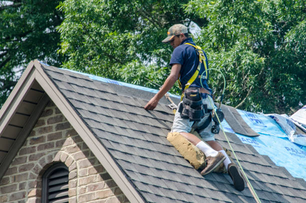 Best Metal Roofing Contractor  in Shreveport, LA